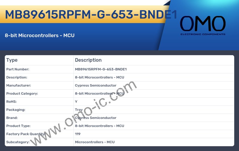 MB89615RPFM-G-653-BNDE1