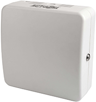 Wireless Access Point (WAP) Enclosures with Locks